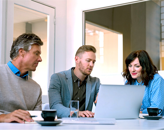 A group of professionals collaborate on a project.